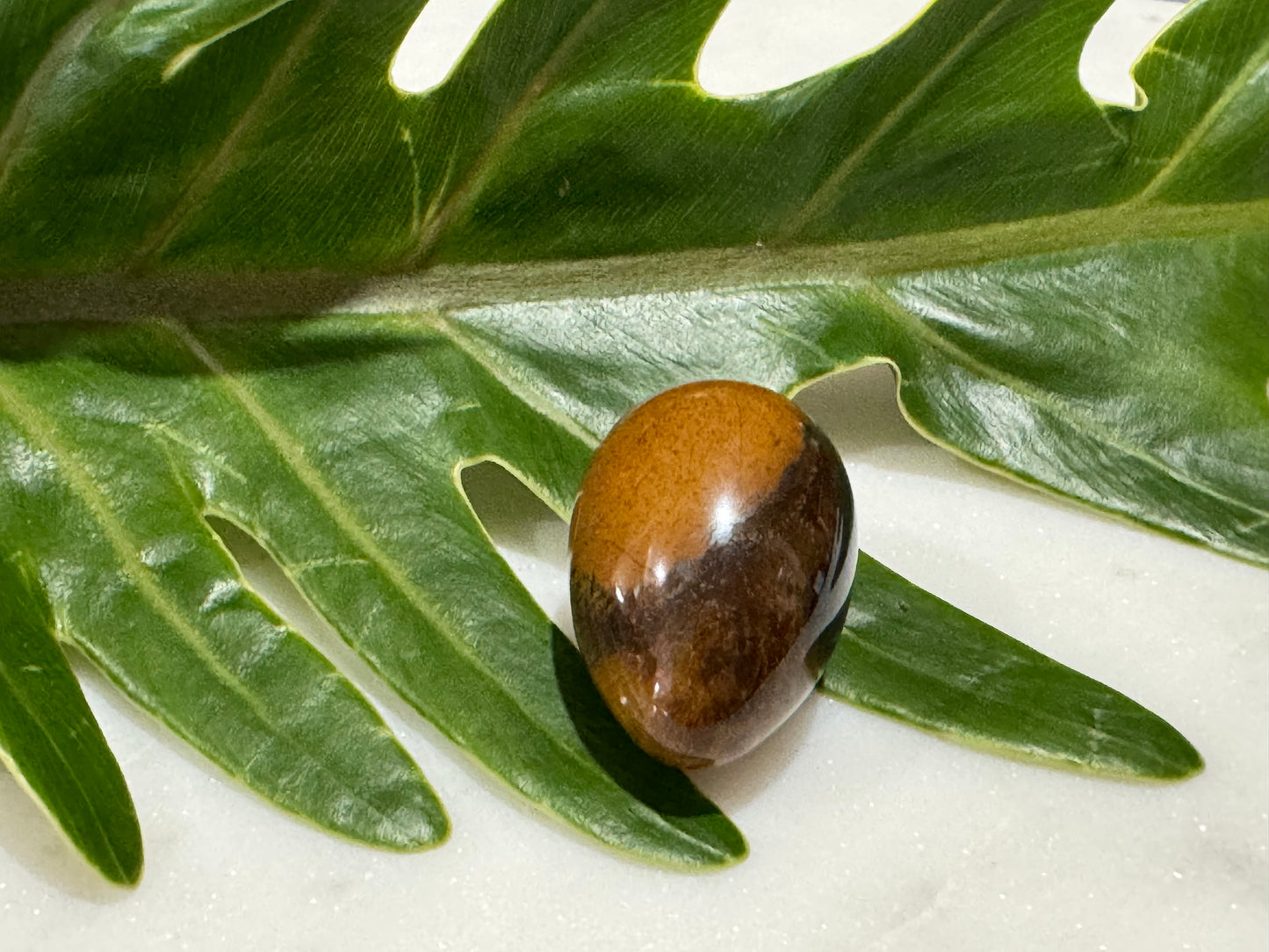 Tiger Eye Crystal Egg